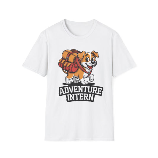 Adventure Intern